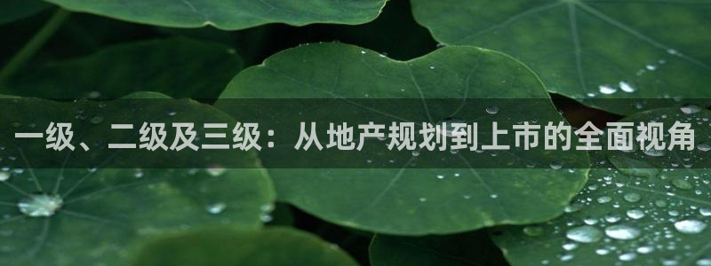 万象国际娱乐网址