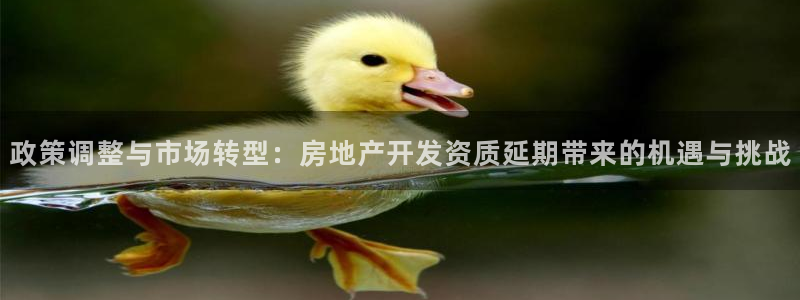 万向娱乐平台代理